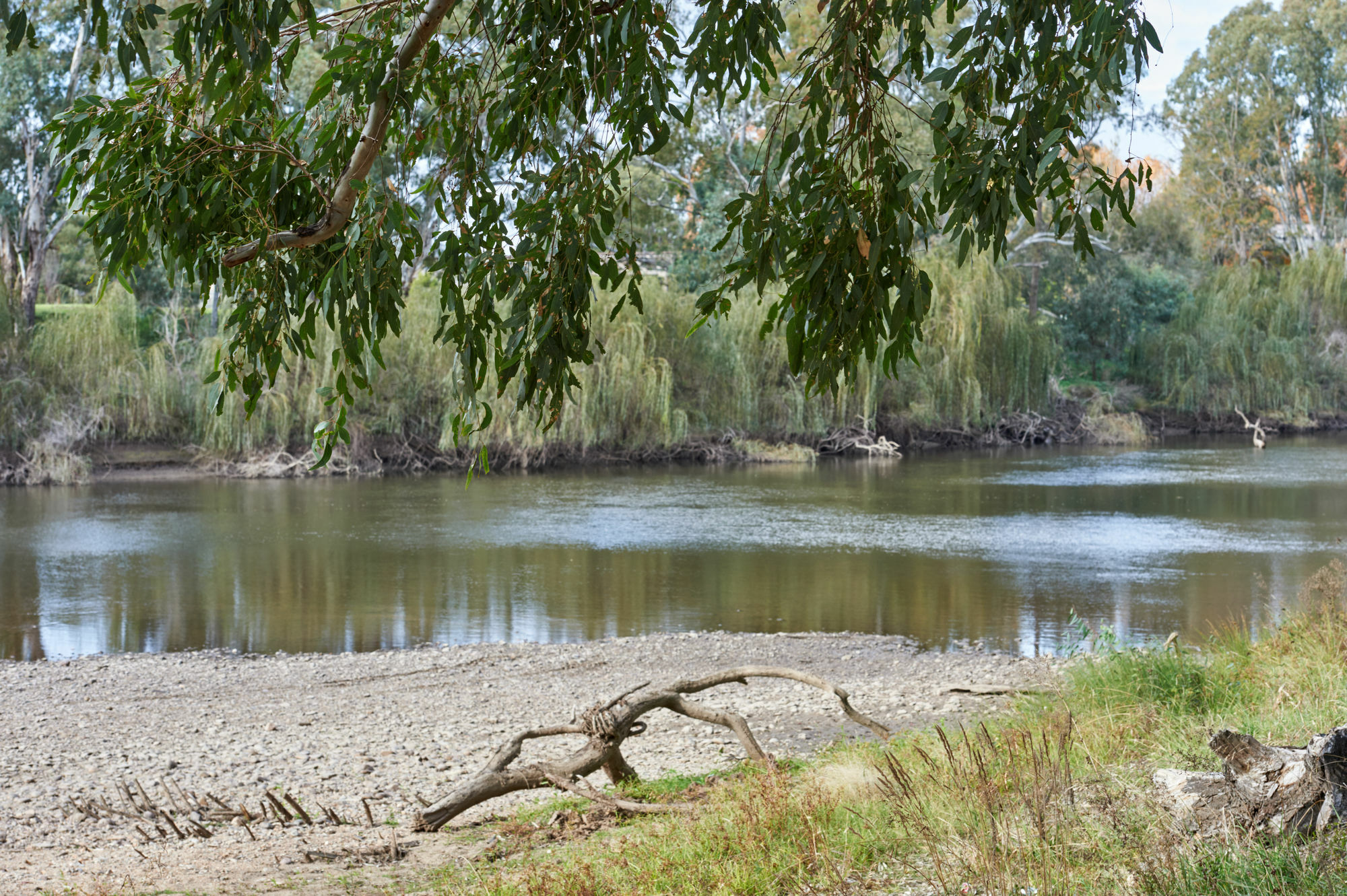 Gundagai Cabins & Tourist Park Exteriér fotografie